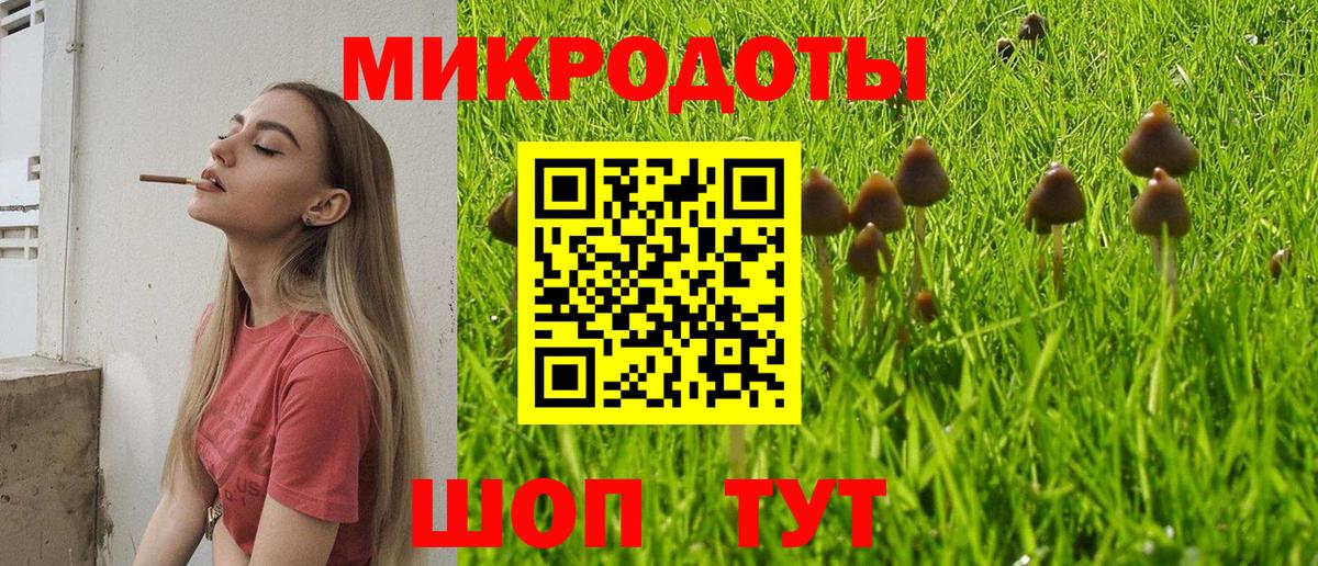 Тула  купить наркоту  Вход с VPN  Псилоцибиновые грибы Cubensis 